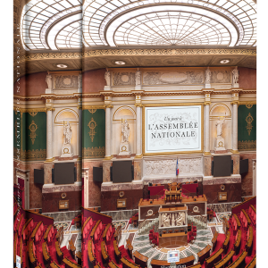 Un jour à l'Assemblée nationale - Flammarion -