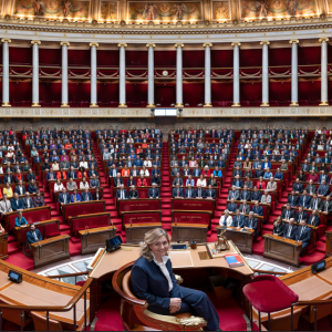 affiche hémicycle XVIIème législature 2024